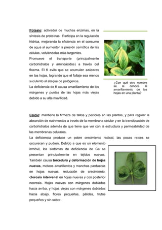 Asignación 2, adecuación de contenidos.