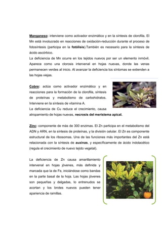 Asignación 2, adecuación de contenidos.