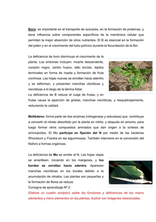 Asignación 2, adecuación de contenidos.