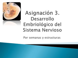 Asignación 3. Desarrollo Embriológico del Sistema Nervioso        Por semanas y estructuras 