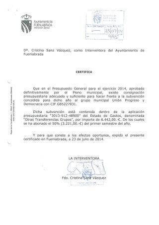 Asignación municipal grupo UPyD Fuenlabrada