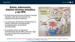 Understanding the Autonomic Nervous System, HPA Axis, and Stress ...