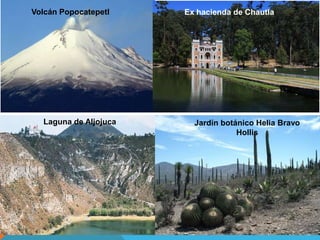 Laguna de Aljojuca
Ex hacienda de Chautla
Jardín botánico Helia Bravo
Hollis
Volcán Popocatepetl
 