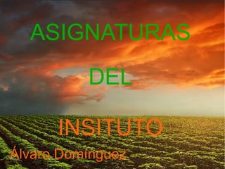 ASIGNATURAS
          DEL

      INSITUTO
Álvaro Domínguez
 