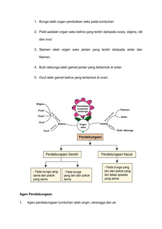 1. Bunga ialah organ pembiakan seks pada tumbuhan
2. Pistil aadalah organ seks betina yang terdiri daripada ovary, stigma, stil
dan ovul.
3. Stamen ialah organ seks jantan yang terdiri daripada anter dan
filamen.
4. Butir debunga ialah gamet jantan yang terbentuk di anter.
5. Ovul ialah gamet betina yang terbentuk di ovari.
Agen Pendebungaan
1. Agen pendebungaan tumbuhan ialah angin, serangga dan air.
 
