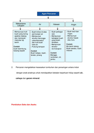 2. Pencaran mengelakkan kesesakan tumbuhan dan persaingan antara induk
dengan anak-anaknya untuk mendapatkan bekalan keperluan hidup seperti air,
cahaya dan garam mineral.
Pembiakan Seks dan Aseks
 