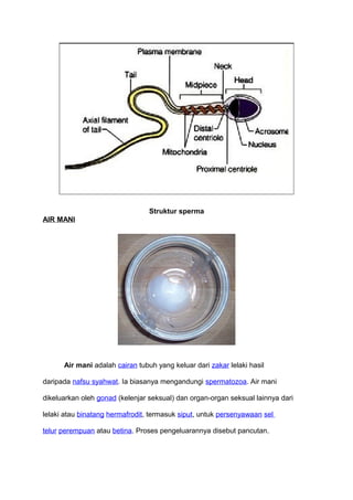 Struktur sperma
AIR MANI
Air mani adalah cairan tubuh yang keluar dari zakar lelaki hasil
daripada nafsu syahwat. Ia biasanya mengandungi spermatozoa. Air mani
dikeluarkan oleh gonad (kelenjar seksual) dan organ-organ seksual lainnya dari
lelaki atau binatang hermafrodit, termasuk siput, untuk persenyawaan sel
telur perempuan atau betina. Proses pengeluarannya disebut pancutan.
 