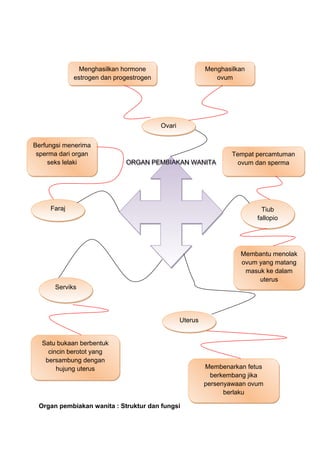 Organ pembiakan wanita : Struktur dan fungsi
ORGAN PEMBIAKAN WANITAORGAN PEMBIAKAN WANITA
OvariOvari
UterusUterus
ServiksServiks
Tiub
fallopio
Tiub
fallopio
FarajFaraj
Menghasilkan hormone
estrogen dan progestrogen
Menghasilkan hormone
estrogen dan progestrogen
Membenarkan fetus
berkembang jika
persenyawaan ovum
berlaku
Membenarkan fetus
berkembang jika
persenyawaan ovum
berlaku
Berfungsi menerima
sperma dari organ
seks lelaki
Berfungsi menerima
sperma dari organ
seks lelaki
Tempat percamtuman
ovum dan sperma
Tempat percamtuman
ovum dan sperma
Menghasilkan
ovum
Menghasilkan
ovum
Satu bukaan berbentuk
cincin berotot yang
bersambung dengan
hujung uterus
Satu bukaan berbentuk
cincin berotot yang
bersambung dengan
hujung uterus
Membantu menolak
ovum yang matang
masuk ke dalam
uterus
Membantu menolak
ovum yang matang
masuk ke dalam
uterus
 