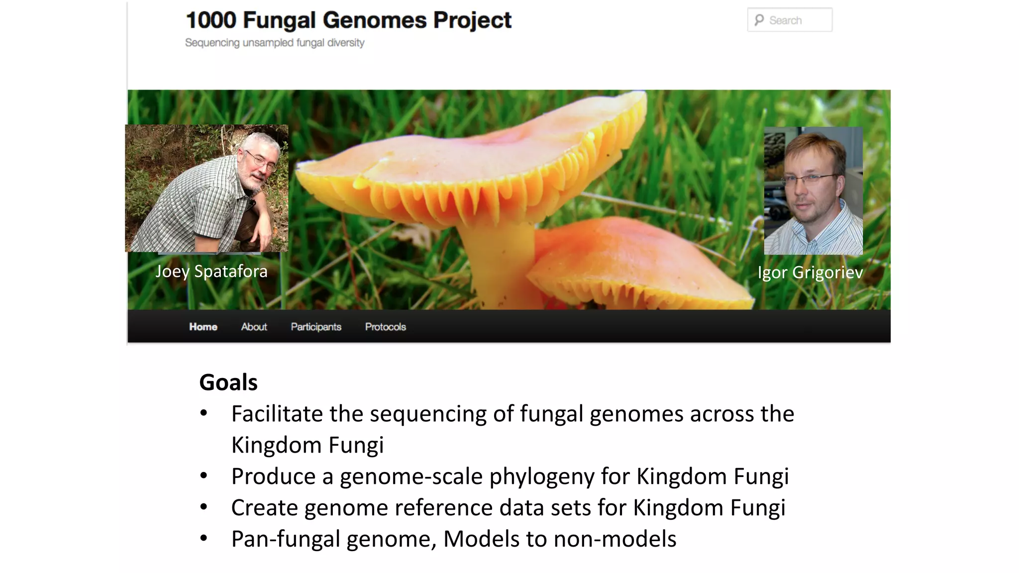 Gaining	
  Momentum
Goals	
  
• Facilitate	
  the	
  sequencing	
  of	
  fungal	
  genomes	
  across	
  the	
  
Kingdom	
  Fungi	
  
• Produce	
  a	
  genome-­‐scale	
  phylogeny	
  for	
  Kingdom	
  Fungi	
  
• Create	
  genome	
  reference	
  data	
  sets	
  for	
  Kingdom	
  Fungi	
  
• Pan-­‐fungal	
  genome,	
  Models	
  to	
  non-­‐models
Joey	
  Spatafora Igor	
  Grigoriev
 
