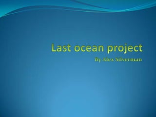 Last ocean project By Alex Silverman 
