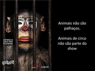 Animais não são
palhaços.
Animais de circo
não são parte do
show
 