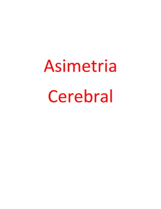 Asimetria
Cerebral

 