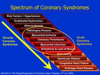 Spectrum of Coronary Syndromes
Risk Factors + Hypertension
Endothelial Dysfunction
Atherosclerosis
IHD/Angina Pectoris
Myocardial Ischemia

Chronic
Coronary
Syndromes

Coronary Thrombosis
Myocardial Infarction

Acute
Coronary
Syndromes

Arrhythmia & Loss of Muscle
Remodeling
Ventricular Dilation
Congestive Heart Failure
Endstage Heart Disease
Baroldi G, The Etiopathogenesis of Coronary Heart Disease. 2nd ed. 2004.

 