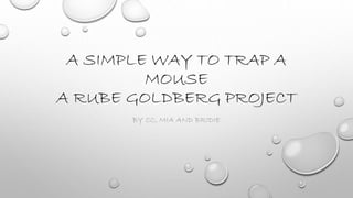A SIMPLE WAY TO TRAP A
MOUSE
A RUBE GOLDBERG PROJECT
BY CC, MIA AND BRIDIE
 