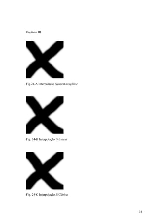 Capítulo III




Fig.24-A Interpolação Nearest-neighbor




Fig. 24-B Interpolação BiLinear




Fig. 24-C Interpolação BiCúbica




                                         93
 