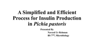 A Simplified and Efficient
Process for Insulin Production
in Pichia pastoris
Presented By
Naveed Ur Rehman
BS 7TH, Microbiology
 