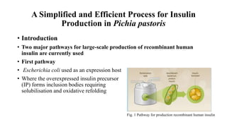 A simplified and efficient process for insulin production in pichia ...