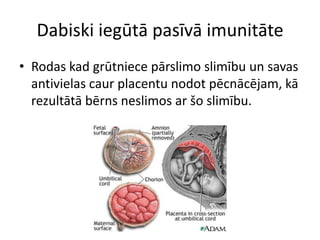 Dabiski iegūtā pasīvā imunitāte
• Rodas kad grūtniece pārslimo slimību un savas
  antivielas caur placentu nodot pēcnācējam, kā
  rezultātā bērns neslimos ar šo slimību.
 