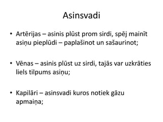 Asinsvadi
• Artērijas – asinis plūst prom sirdi, spēj mainīt
  asiņu pieplūdi – paplašinot un sašaurinot;

• Vēnas – asinis plūst uz sirdi, tajās var uzkrāties
  liels tilpums asiņu;

• Kapilāri – asinsvadi kuros notiek gāzu
  apmaiņa;
 