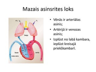 Mazais asinsrites loks
           • Vēnās ir arteriālas
             asinis;
           • Artērijā ir venozas
             asinis;
           • Izplūst no labā kambara,
             ieplūst kreisajā
             priekškambarī.
 