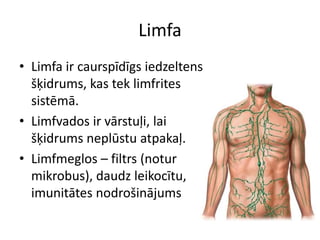 Limfa
• Limfa ir caurspīdīgs iedzeltens
  šķidrums, kas tek limfrites
  sistēmā.
• Limfvados ir vārstuļi, lai
  šķidrums neplūstu atpakaļ.
• Limfmeglos – filtrs (notur
  mikrobus), daudz leikocītu,
  imunitātes nodrošinājums
 