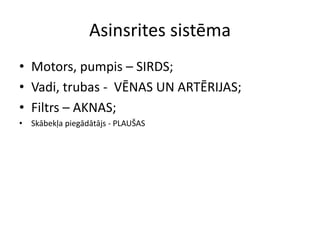Asinsrites sistēma
• Motors, pumpis – SIRDS;
• Vadi, trubas - VĒNAS UN ARTĒRIJAS;
• Filtrs – AKNAS;
• Skābekļa piegādātājs - PLAUŠAS
 