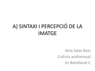 A) SINTAXI I PERCEPCIÓ DE LA
IMATGE
Aina Salas Boix
Cultura audiovisual
2n Batxillerat C
 