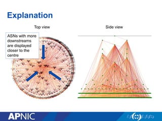 Explanation
Top view Side view
ASNs with more
downstreams
are displayed
closer to the
centre
 
