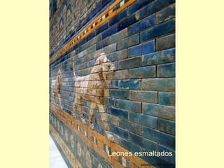 Leones esmaltados
 