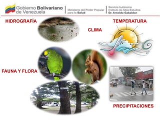 CLIMA
TEMPERATURA
PRECIPITACIONES
HIDROGRAFÍA
FAUNA Y FLORA
 