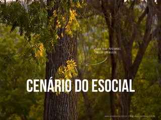 Juglans Nigra: pupularmente
conhecida como nogueira.

Cenário do esocial
www.asisprojetos.com.br | Blog: www.spednews.com.br

 