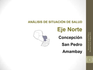 ANÁLISIS DE SITUACIÓN DE SALUD

                Eje Norte




                                    Ministerio de Salud Pública y
                                 Bienestar Social, Paraguay 2012
                Concepción
                  San Pedro
                   Amambay
                                             1
 