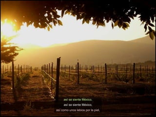 Zacatezas de noche así como unos labios por la piel, Viñedos en Baja California así se siente México, así se siente México, 