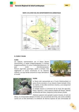 2013Gerencia Regional de Salud Lambayeque
12
MAPA DE LA RED VIAL DEL DEPARTAMENTO DE LAMBAYEQUE
G. FLORA Y FAUNA
FLORA
Las especies representativas son el faique (Acacia
macracantha), el sapote (Capparisangulata), el bichayo
(Capparisovalifolia), el cuncun (Vallesiadichotomica) y el
palo verde (Cercidiumpraecox).
florecen algarrobos, guarangos, zapote y vichayos. Esta
vegetación es común encontrarla en los desiertos
costeros, y es aquí donde concentra la mayor densidad en
el mundo.
FAUNA
La fauna está representada por el hurón (Galictisvittata), el
puma (Puma concolor), el cuy silvestre (Cavia tschudii). Entre
los reptiles, la boa (Boa constrictor ortonii), y una excepcional
variedad de aves.
En estado silvestre se alimentan de los frutos del algarrobo,
faique, higuerón, y otras especies propias del bosque, además
se alimentan del overo, sheguicho y otras hiervas y brotes.
Podremos apreciar este ejemplar a pocos minutos, al norte de
Olmos, en el Zoocriadero Barbara D¨Achile. Con una extensión de 6 Has, este centro científico
cuenta con un área destinada a la exhibición de diversas especies de aves amenazadas de
 