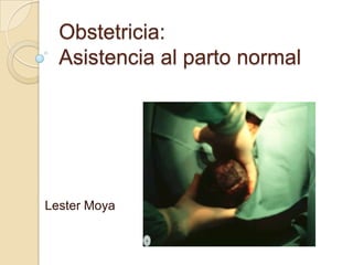 Obstetricia:
Asistencia al parto normal
Lester Moya
 