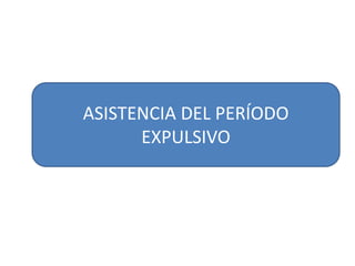 ASISTENCIA DEL PERÍODO 
EXPULSIVO 
 