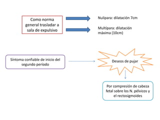 Como norma 
general trasladar a 
sala de expulsivo 
Nulipara: dilatación 7cm 
Multípara: dilatación 
máxima (10cm) 
Síntoma confiable de inicio del 
segundo período 
Deseos de pujar 
Por compresión de cabeza 
fetal sobre los N. pélvicos y 
el rectosigmoides 
 