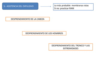 3.- ASISTENCIA DEL EXPULSIVO Lo más probable: membranas rotas 
Si no: practicar RAM 
DESPRENDIMIENTO DE LA CABEZA 
DESPRENDIMIENTO DE LOS HOMBROS 
DESPRENDIMIENTO DEL TRONCO Y LAS 
EXTREMIDADES 
 