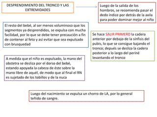 DESPRENDIMIENTO DEL TRONCO Y LAS 
EXTREMIDADES 
Luego de la salida de los 
hombros, se recomienda pasar el 
dedo índice por detrás de la axila 
para poder dominar mejor al niño 
El resto del bebé, al ser menos voluminoso que los 
segmentos ya desprendidos, se expulsa con mucha 
facilidad, por lo que se debe tener precaución a fin 
de contener al feto y así evitar que sea expulsado 
con brusquedad 
Se hace SALIR PRIMERO la cadera 
anterior por debajo de la sínfisis del 
pubis, lo que se consigue bajando el 
tronco; depués se desliza la cadera 
posterior a lo largo del periné 
A medida que el niño es expulsado, la mano del levantando el tronco 
obstetra se desliza por el dorso del bebé, 
estando apoyada la cabeza de éste sobre la 
mano libre de aquél, de modo que al final el RN 
es sujetado de los tobillos y de la nuca 
Luego del nacimiento se expulsa un chorro de LA, por lo general 
teñido de sangre. 
 
