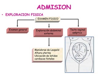 ADMISION 
• EXPLORACION FISICA 
EXAMEN FISICO 
Examen general Exploración abdominal 
externa 
Tacto vaginal 
aséptico 
Maniobras de Leopold 
Altura uterina 
Ubicación de latidos 
cardiacos fetales 
 