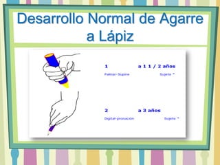 Desarrollo Normal de Agarre a Lápiz<br />