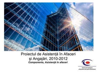 Proiectul  de  Asistenţă în Afaceri şi Angajări,  2010-201 2 Componenta, Asistenţă în afaceri  