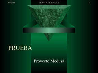 PRUEBA Proyecto Medusa 