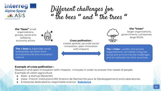 Different challenges for
“ the bees “ and “ the trees “
the “bees” small
organizations,
groups, social and
solidarity
economy actors
the “trees”
larger organizations,
governments, companies,
large NGOs
Cross-pollination :
create, spread, up-scale social
innovation, open innovation
with impacts
The « bees », especially social
enterprises can learn from
entrepreneurial and innovation
culture.
The « trees », public and private
organizations, can better integrate
social and environmental challenges
and SI methods into their practices.
10
Example of cross-pollination :
Research and open Innovation with impacts : innovate in order to answer the needs of people.
Example of urban agriculture
● bees : a startup (Reverdir)
● trees : French institutions IRD (Institut de Recherche pour le Développement) and Laboratories
● Enterprise dedicated to responsible science : SoScience
 