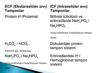 ECF (Ekstarselüler sıvı)
Tamponlar
ICF (Intraselüler sıvı)
Tamponlar
Protein H+
/Proteinat Böbrek tübülüsü ve
eritrositlerde NaH2PO4 /
Na2HPO4
(Sodyumdihidrojen Fosfat/Sodyum hidrojen
fostat)
H2CO3 / HCO3
(Karbonik asit / Bikarbonat)
Dokulardaki protein
tampon sistemi
NaH2PO4 / Na2HPO4
(Sodyumdihidrojen Fosfat/Sodyum hidrojen
fostat
Eritrositlerdeki H+
/
Hemoglobinat tampon
sistemi
 