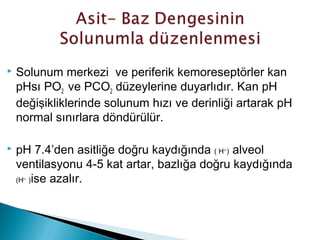  Solunum merkezi ve periferik kemoreseptörler kan
pHsı PO2 ve PCO2 düzeylerine duyarlıdır. Kan pH
değişikliklerinde solunum hızı ve derinliği artarak pH
normal sınırlara döndürülür.
 pH 7.4’den asitliğe doğru kaydığında ( H+↑
) alveol
ventilasyonu 4-5 kat artar, bazlığa doğru kaydığında
(H+↓
)ise azalır.
 