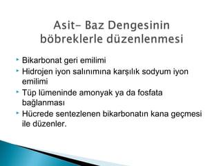  Bikarbonat geri emilimi
 Hidrojen iyon salınımına karşılık sodyum iyon
emilimi
 Tüp lümeninde amonyak ya da fosfata
bağlanması
 Hücrede sentezlenen bikarbonatın kana geçmesi
ile düzenler.
 