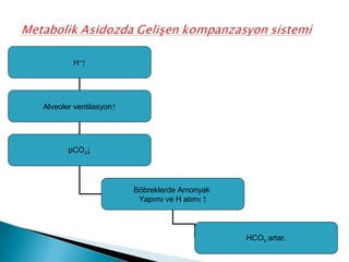 H+
↑
Alveoler ventilasyon↑
pCO2↓
Böbreklerde Amonyak
Yapımı ve H atımı ↑
HCO3 artar.
 