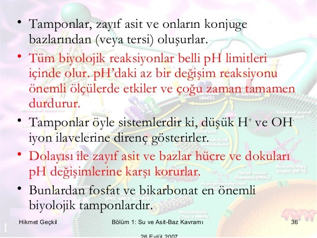Dimexide ile etkili tamponlar 100