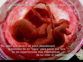 El bebé duerme, tranquilo, en el vientre de su madre.  No sabe que dentro de poco abandonará  la placidez de su “casa” para pasar por una  de las experiencias más traumáticas  de su vida: el nacimiento. 